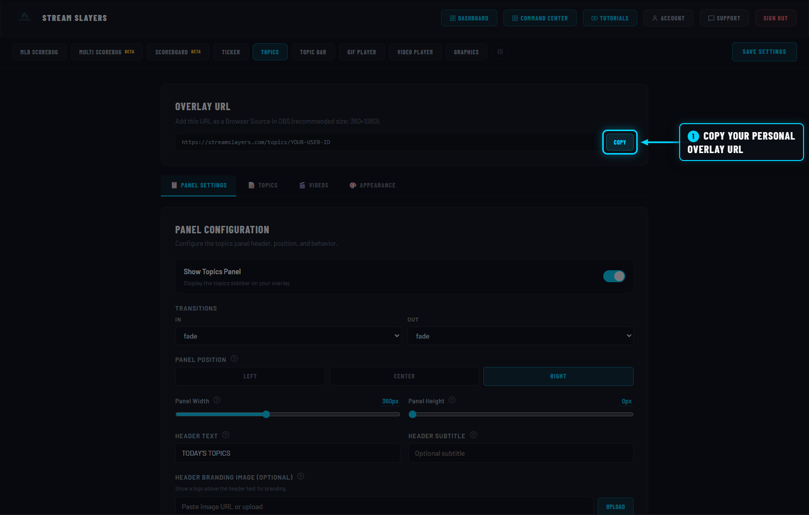 Topics Panel settings with the COPY button highlighted